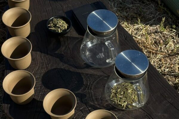 Madeira: Group and Private Tea Drinking Experiences - Tips for Participants