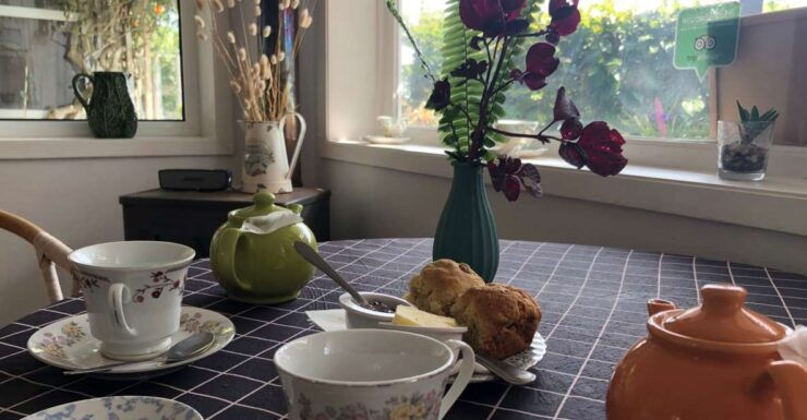 Madeira: Guided and Private Tour of Jasmine Tea House - Tour Details