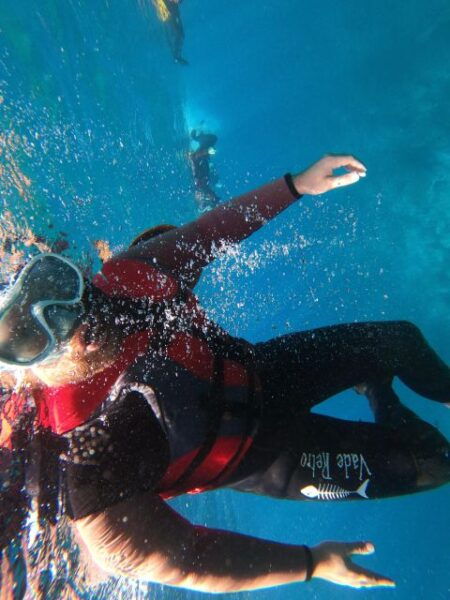 Madeira: Half-Day Coasteering Tour - Common Questions
