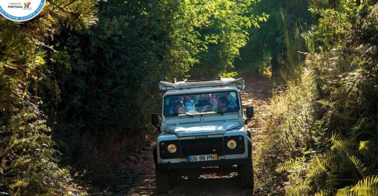Madeira: Half-Day Nuns Valley and Sea Cliff Tour - Exploring Nuns Valley