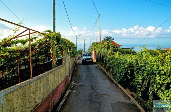 Madeira: Half-Day Nuns Valley and Sea Cliff Tour - Off-Road Adventure