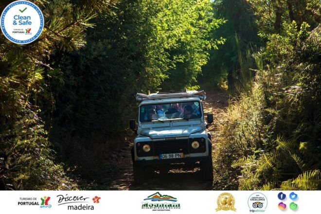 Madeira: Half-Day Nuns Valley and Sea Cliff Tour - Panoramic Views of Madeira