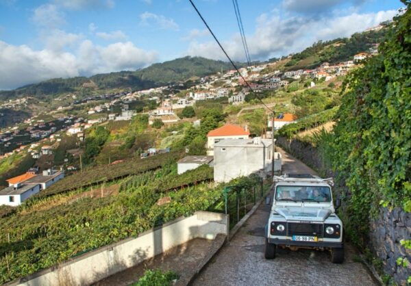Madeira: Half-Day Nuns Valley and Sea Cliff Tour - Positive Reviews and Recommendations