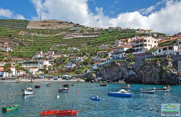 Madeira: Half-Day Nuns Valley and Sea Cliff Tour - Common Questions