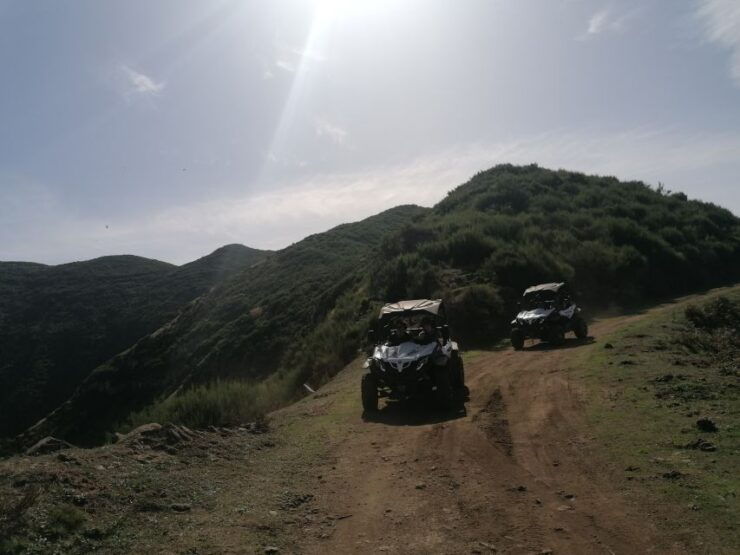 Madeira: Half-Day Off-Road Buggy Tour - Activity Details