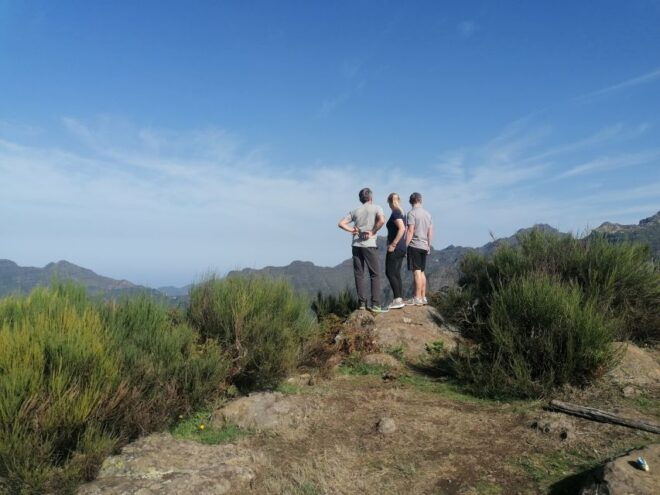 Madeira: Half-Day Off-Road Buggy Tour - Review Summary