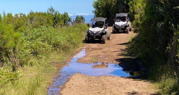 Madeira: Half-Day Off-Road Buggy Tour - Common Questions