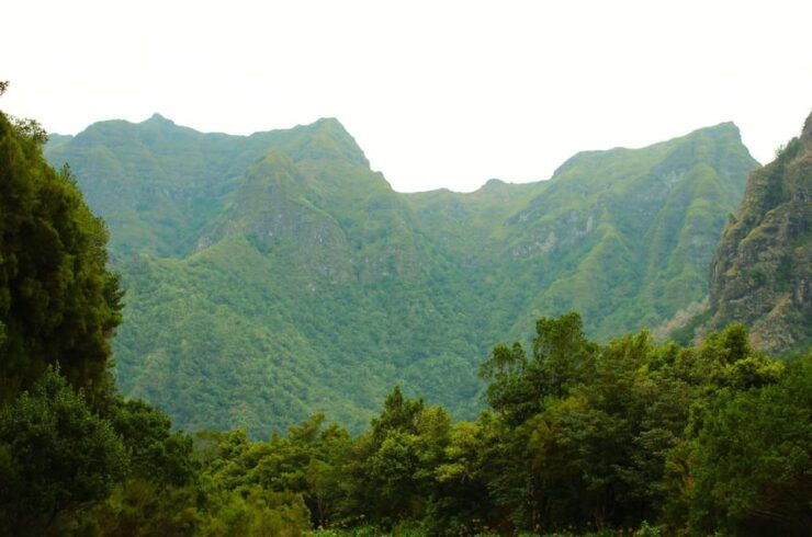 Madeira Hells River Walk - Booking Information