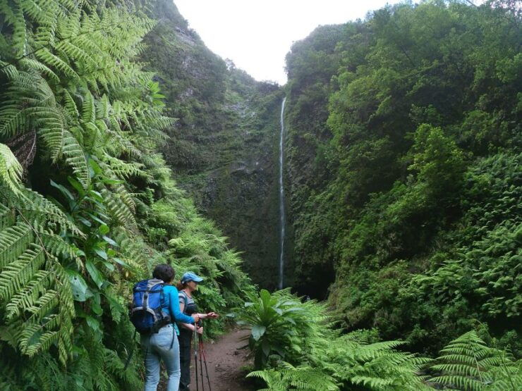 Madeira Island: Caldeirão Verde Levada Walk - Activity Details