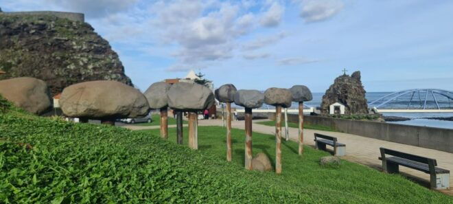 Madeira Island Full Day Tour - Important Items to Bring