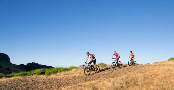 Madeira Island: Guided Mountain Bike Tour - Activity Duration and Availability