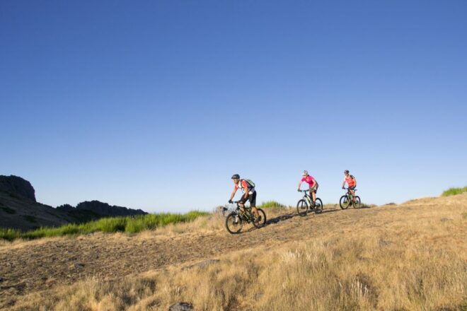 Madeira Island: Guided Mountain Bike Tour - Experience Highlights