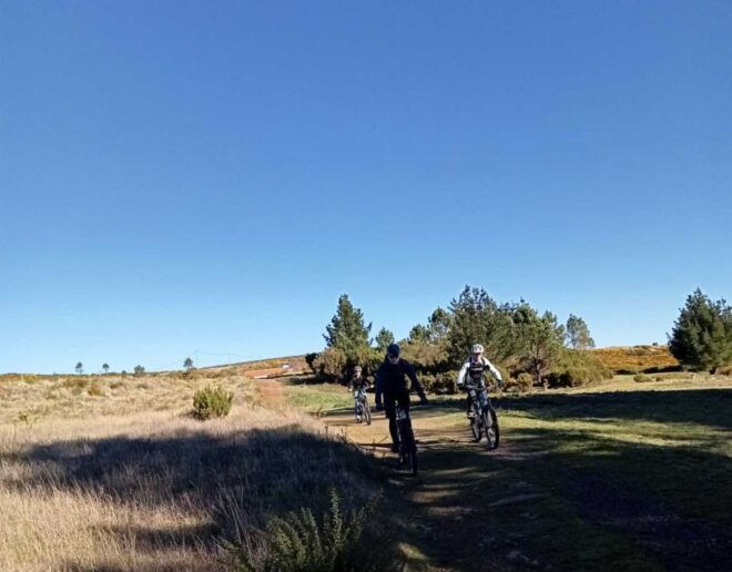 Madeira Island: Guided Mountain Bike Tour - Bike and Equipment Information