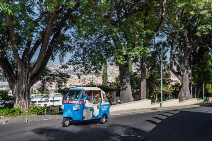 Madeira Island Highlights Private Guided Tour by Tuk-Tuk - Tour Overview