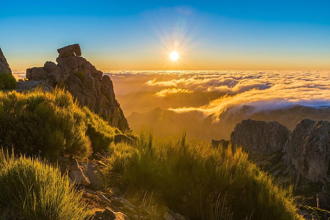 Madeira Island Sunrise Experience - Experience Details