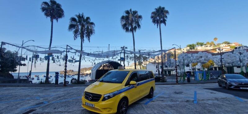 Madeira Island - Who Will Benefit Most?