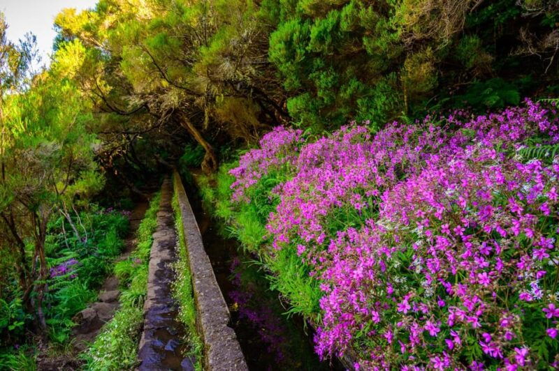 MADEIRA ISLAND WALK - 25 FOUNTAINS LEVADA - Good To Know