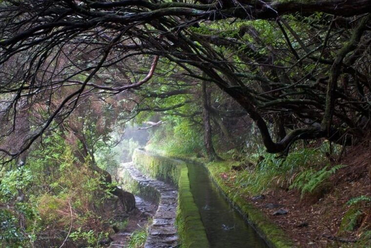 MADEIRA ISLAND WALK - 25 FOUNTAINS LEVADA - Retracing the Steps and a Visit to a Local Café