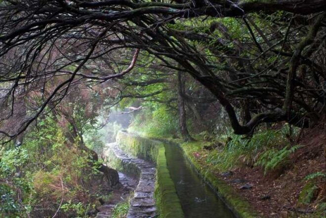 MADEIRA ISLAND WALK - 25 FOUNTAINS LEVADA - Pickup Locations