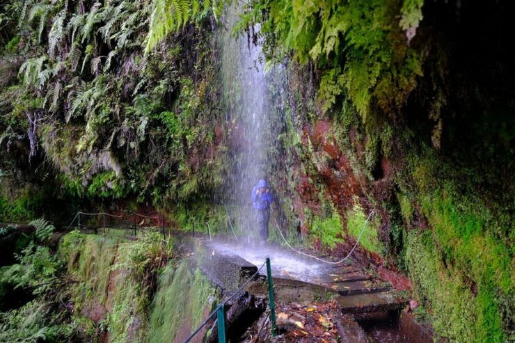 MADEIRA ISLAND WALK - HIDDEN CORNERS KINGS LEVADA - Good To Know
