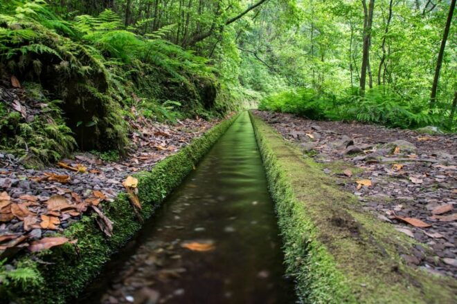 MADEIRA ISLAND WALK - HIDDEN CORNERS KINGS LEVADA - Inclusions