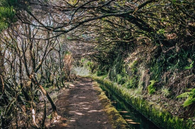 MADEIRA ISLAND WALK - LAKES OF MADEIRA , LEVADA DO ALECRIM - Highlights of the Experience