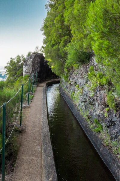 MADEIRA ISLAND WALK - LAKES OF MADEIRA , LEVADA DO ALECRIM - Cancellation Policy