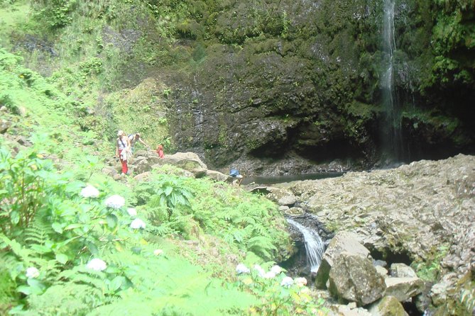 Madeira Islands Caldeirao Verde Walk  - Funchal - Participant Eligibility