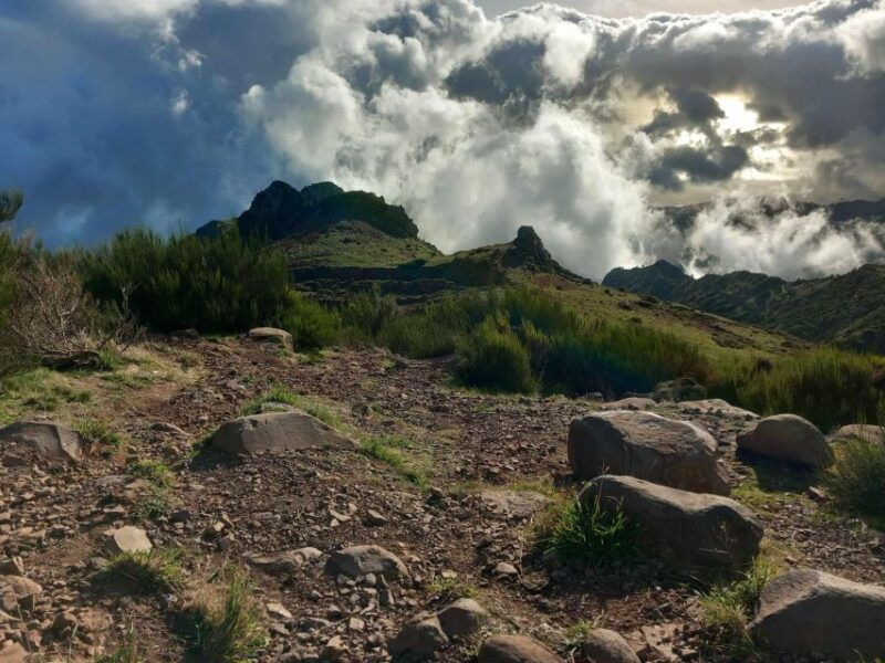 MADEIRA: Jeep Safari to Lava Pools and Seixal Full-Day West - Good To Know