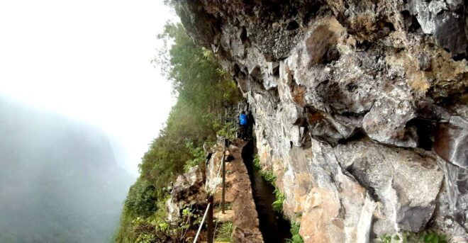 Madeira: Jungle Fever Levada Caldeirao Verde Hike Santana - Authentic Experience