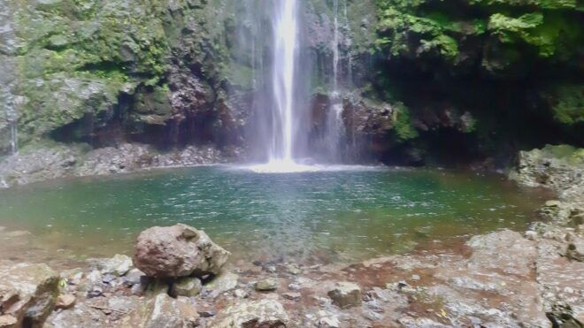 Madeira: Jungle Fever Levada Caldeirao Verde Hike Santana - Frequently Asked Questions