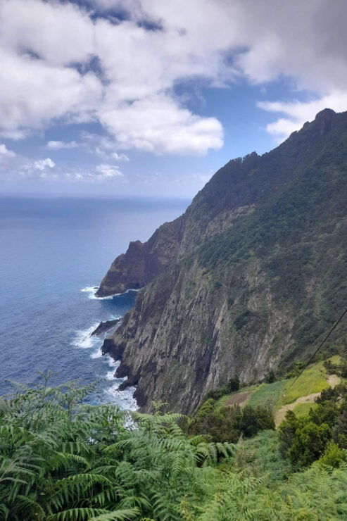 Madeira Larano Walk Half-Day - Experience Highlights