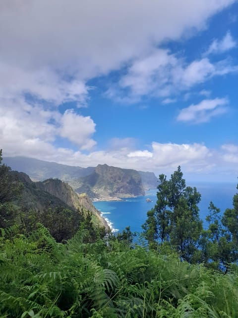 Madeira Larano Walk Half-Day - Booking Information
