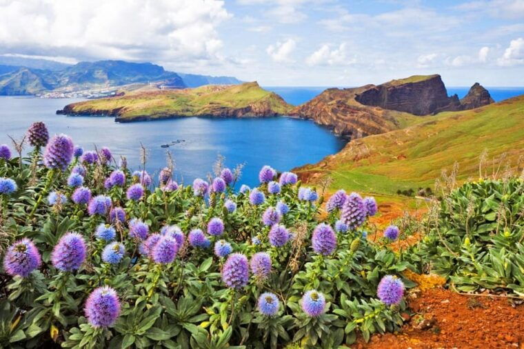 Madeira: Late East Tour with Pico do Areeiro Views - Final Thoughts