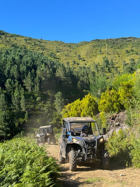 Madeira: Laurissilva Buggy Adventure - Good To Know