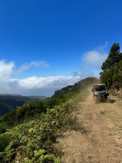 Madeira: Laurissilva Buggy Adventure - Experience Highlights