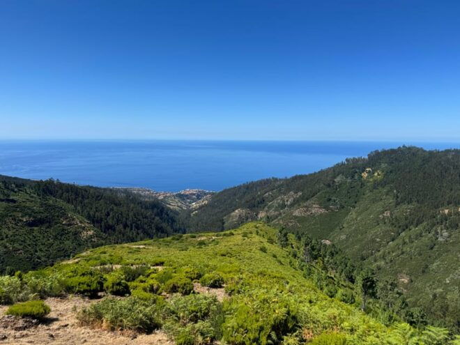 Madeira: Laurissilva Buggy Adventure - Preparation Requirements