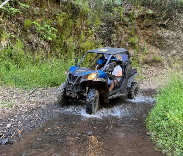 Madeira: Laurissilva Buggy Adventure - Customer Ratings
