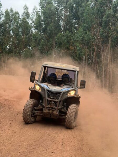 Madeira: Laurissilva Buggy Adventure - Discovering Laurissilva