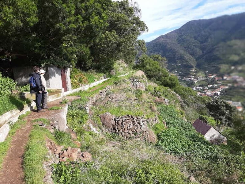 Madeira: Levada dos Maroços Hike - The Sum Up: Who Will Love This Experience?