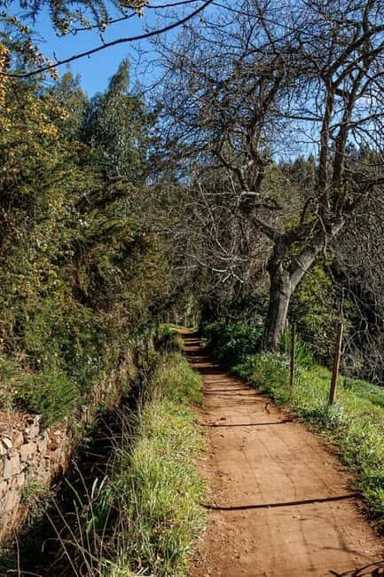 Madeira: Levada Paradise Valley Scenic Walk - A Closer Look at the Madeira Levada Paradise Valley Scenic Walk