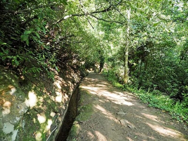 Madeira: Levada Paradise Valley Scenic Walk - FAQ