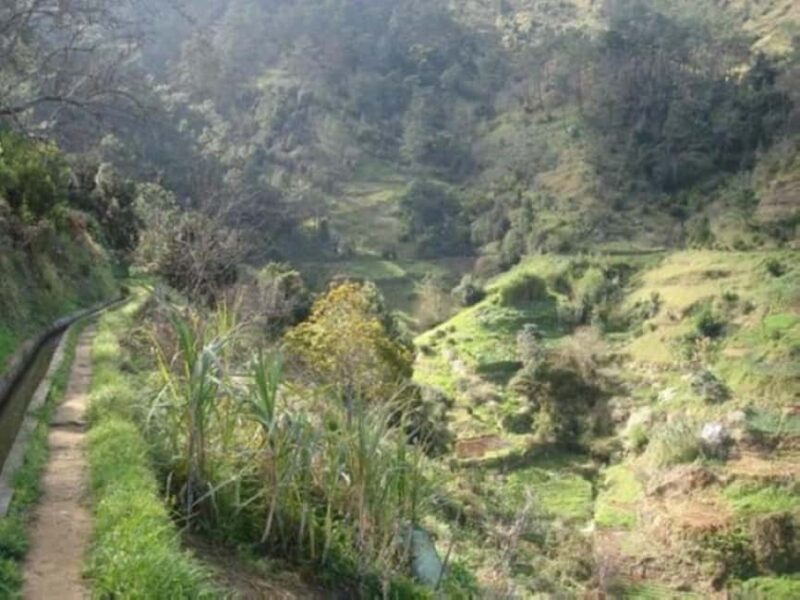 Madeira: Levada Referta Castelejo Guided Walk - Practical Considerations