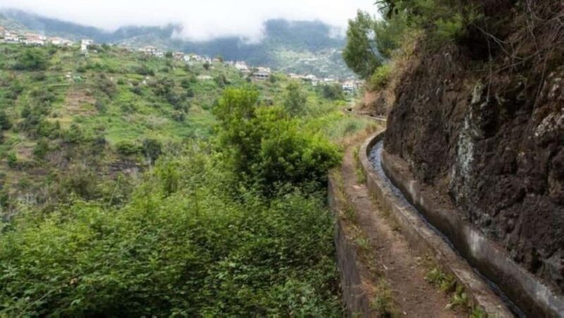 Madeira: Levada Referta Castelejo Guided Walk - Frequently Asked Questions