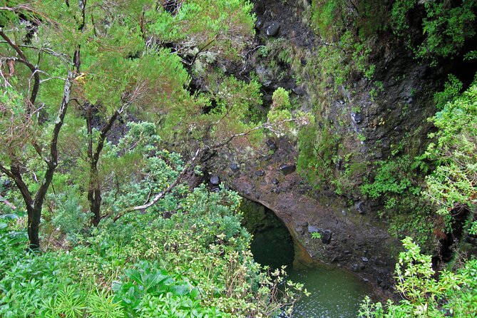 Madeira Levada Walk - Rabacal Lakes and Fountains - Positive Reviews