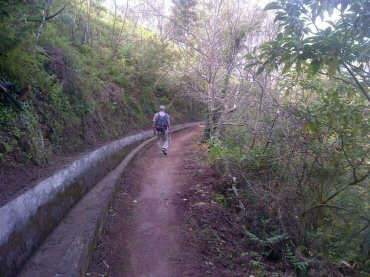 Madeira: Levado Do Norte 2-Hour Hiking Tour - Tour Overview
