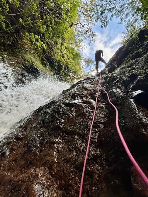 Madeira: Level 1 Canyoning Half Day Adventure - Why This Tour Offers Real Value