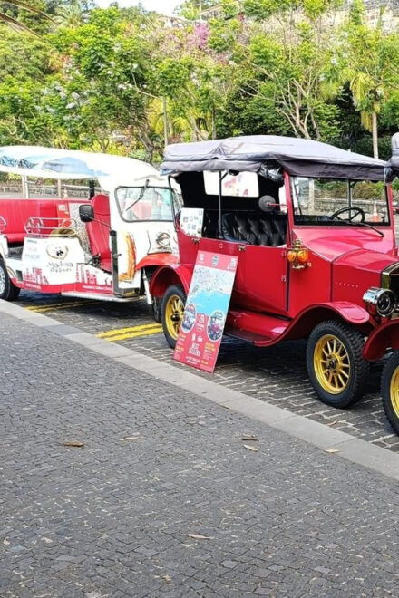 Madeira: Magic Tuk Tour 3h - Breathtaking Views and Experiences