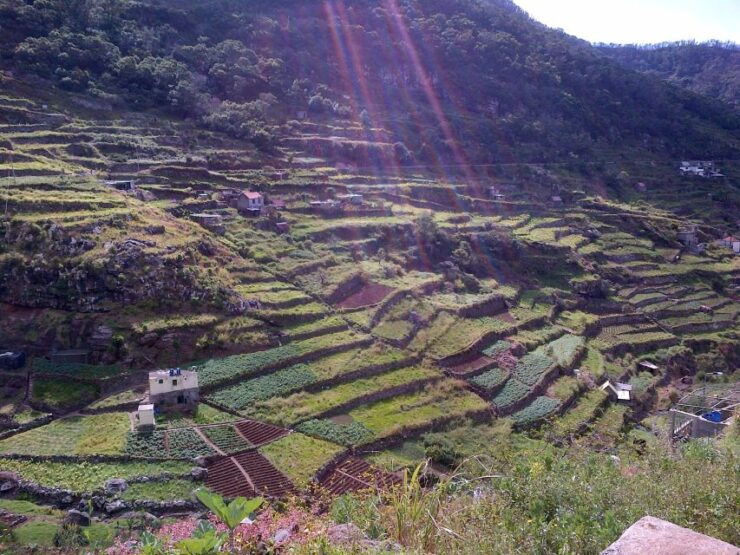 Madeira: Maroços Landscapes 2.5-Hour Guided Walk - Activity Overview