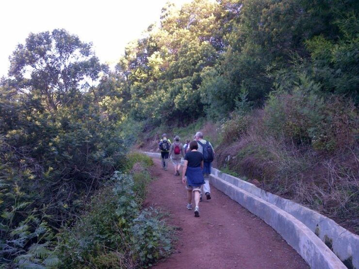 Madeira: Maroços Landscapes 2.5-Hour Guided Walk - Languages Available